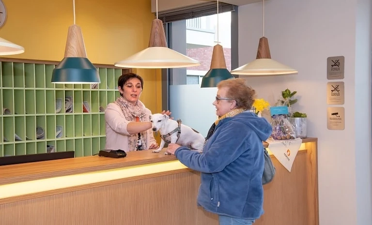 DOMITYS Les Cerneaux 5