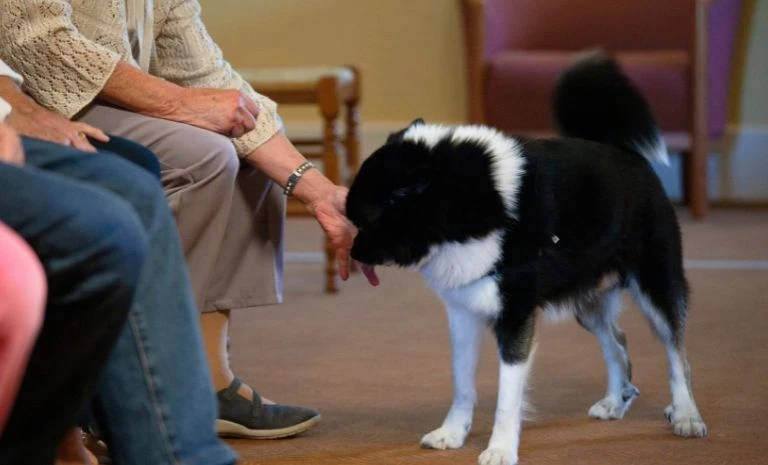 LES RÉSIDENTIELS Saint-Brévin-Les-Pins 3