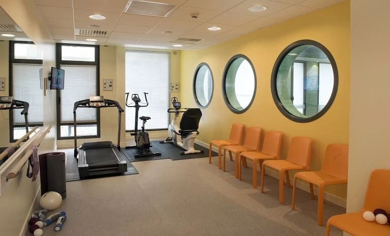 DOMITYS Rosa Gallica 6