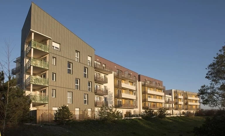 DOMITYS Rosa Gallica 2