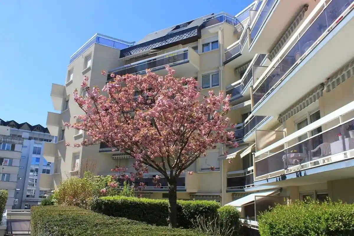 DOMITYS Cœur de Loire 0