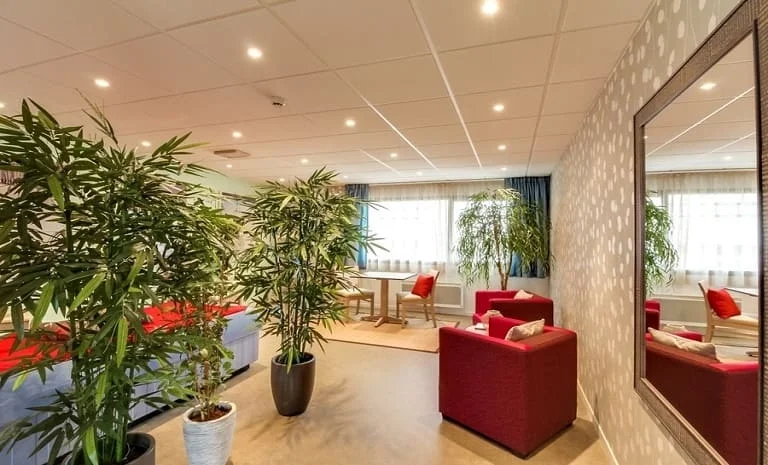 LES TEMPLITUDES « Les Jardins d’Occitanie » 6