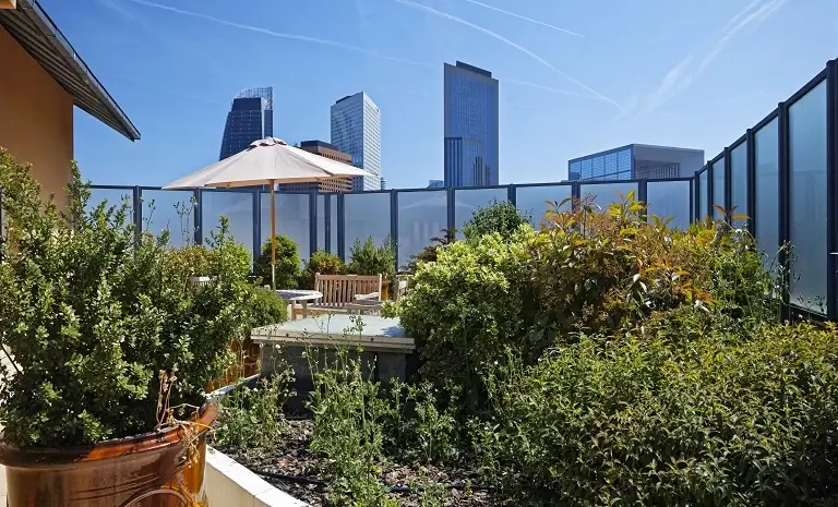 EMEIS Léonard de Vinci 5