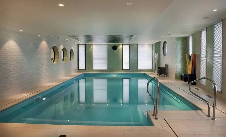 DOMITYS Rosa Gallica 3