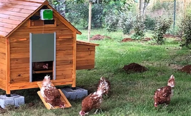 L’ARGENTIÈRE Beguinage 3