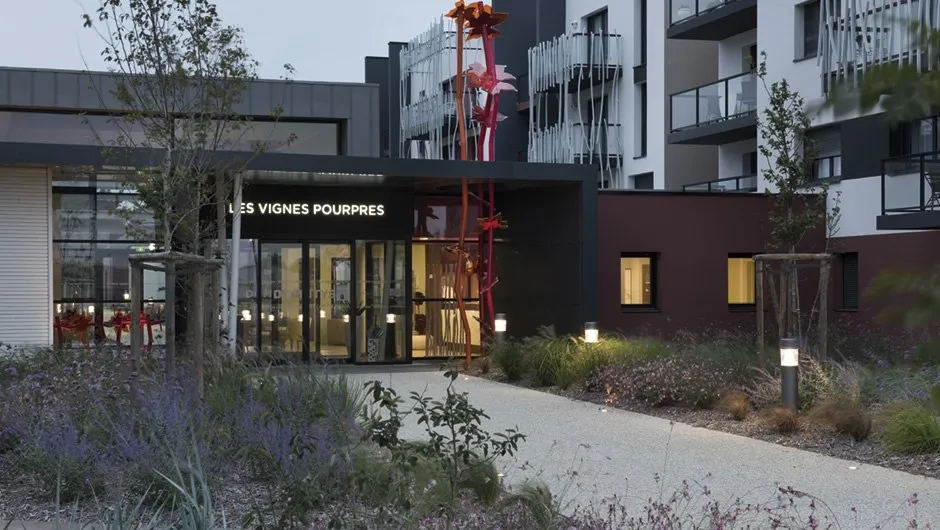 DOMITYS Les Vignes Pourpres 0