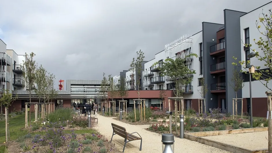 DOMITYS Les Vignes Pourpres 5