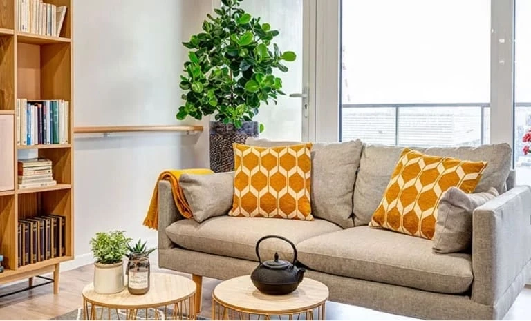 OUI SENIORS Seyssinet-Pariset 3