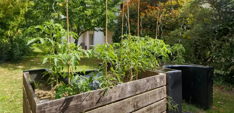 COLISÉE Les Rives de Sorgues 4