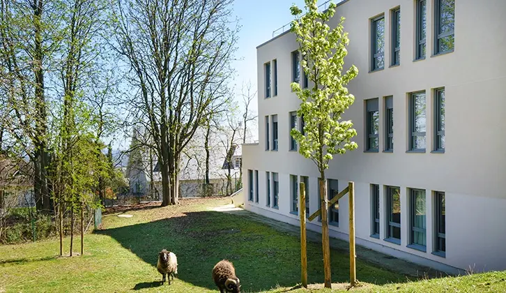 DOMUSVI la Forêt de l’Hautil 5