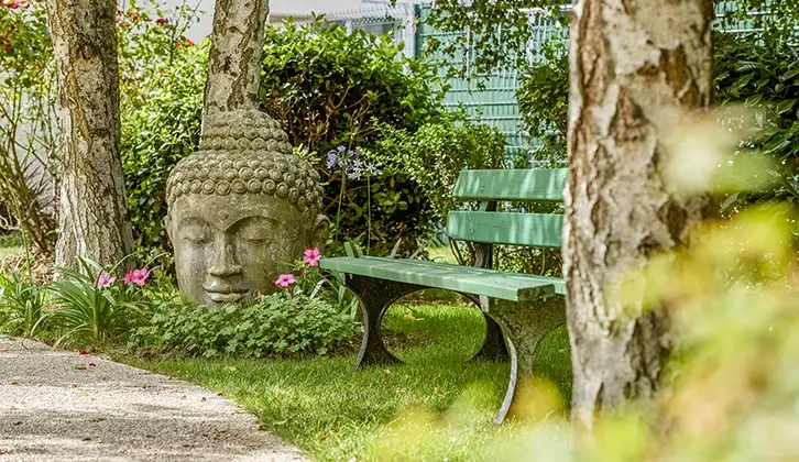 DOMUSVI Jean Rostand 6