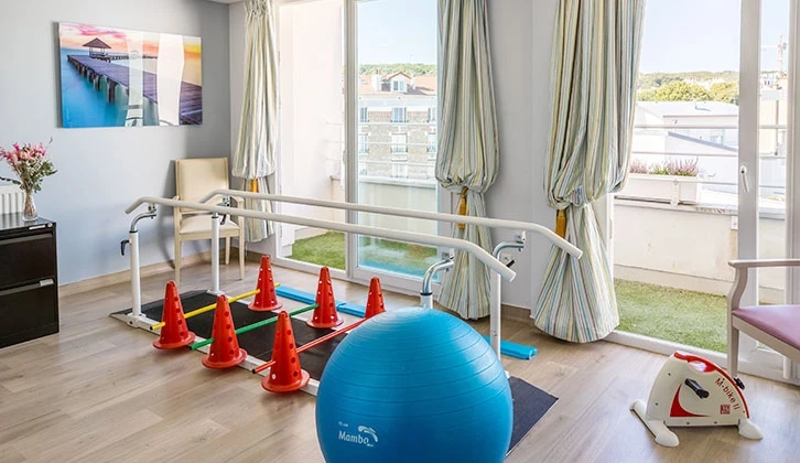 DOMUSVI Alphonse Daudet 7