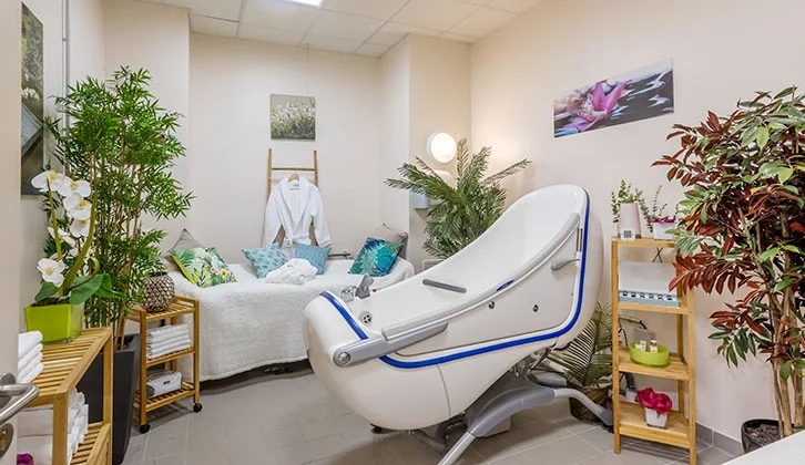 DOMUSVI Alphonse Daudet 5