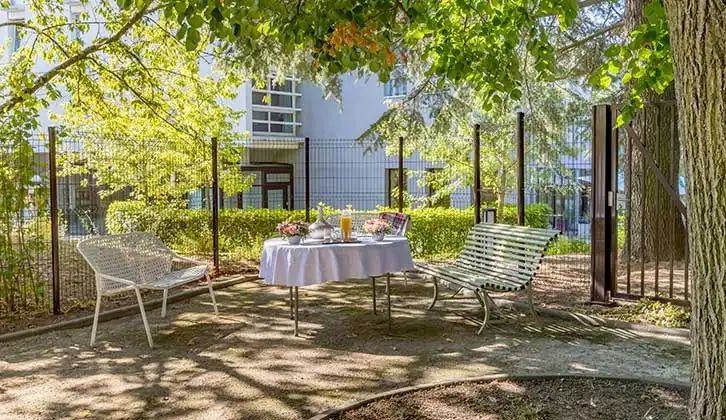 DOMUSVI Alphonse Daudet 1