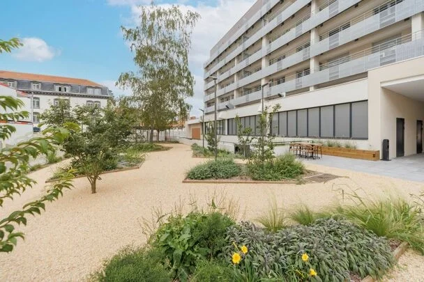 OVELIA Le Puy des Olivines 0