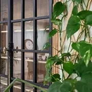 COLISEE  L’Orée du Bois 1