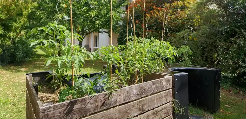 COLISEE  L’Orée du Bois 2
