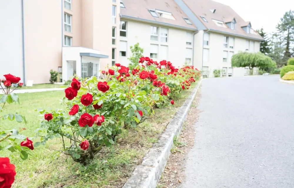 EMEIS Résidence d’Or 2