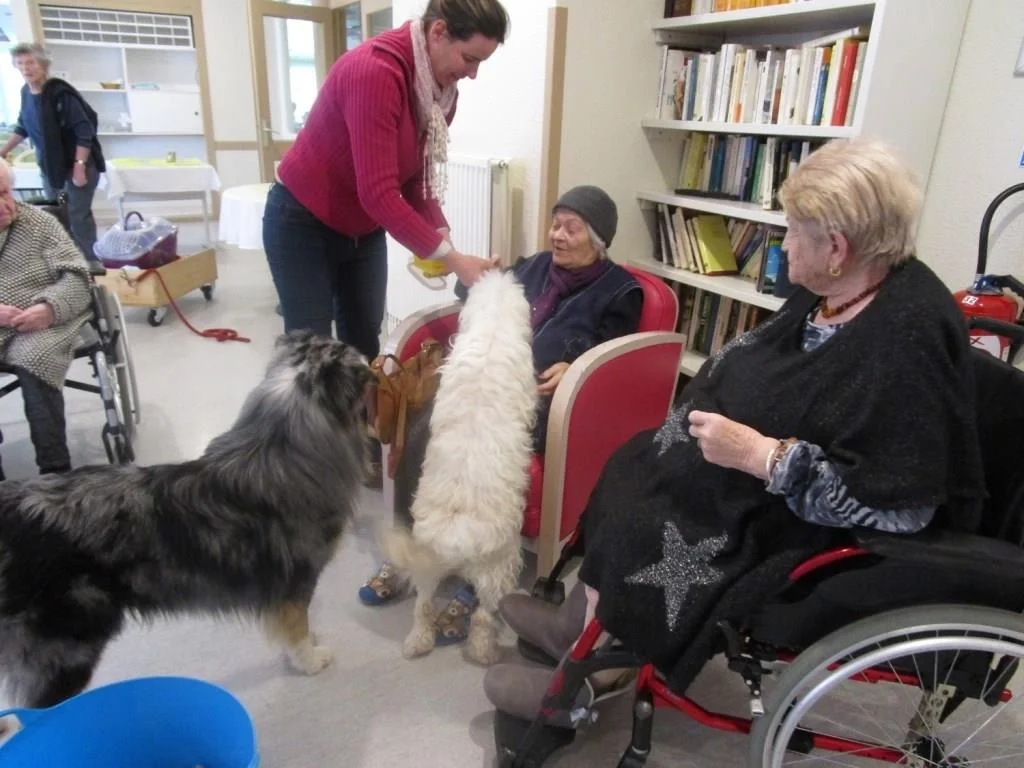 EMEIS Résidence Saint-Sébastien 2