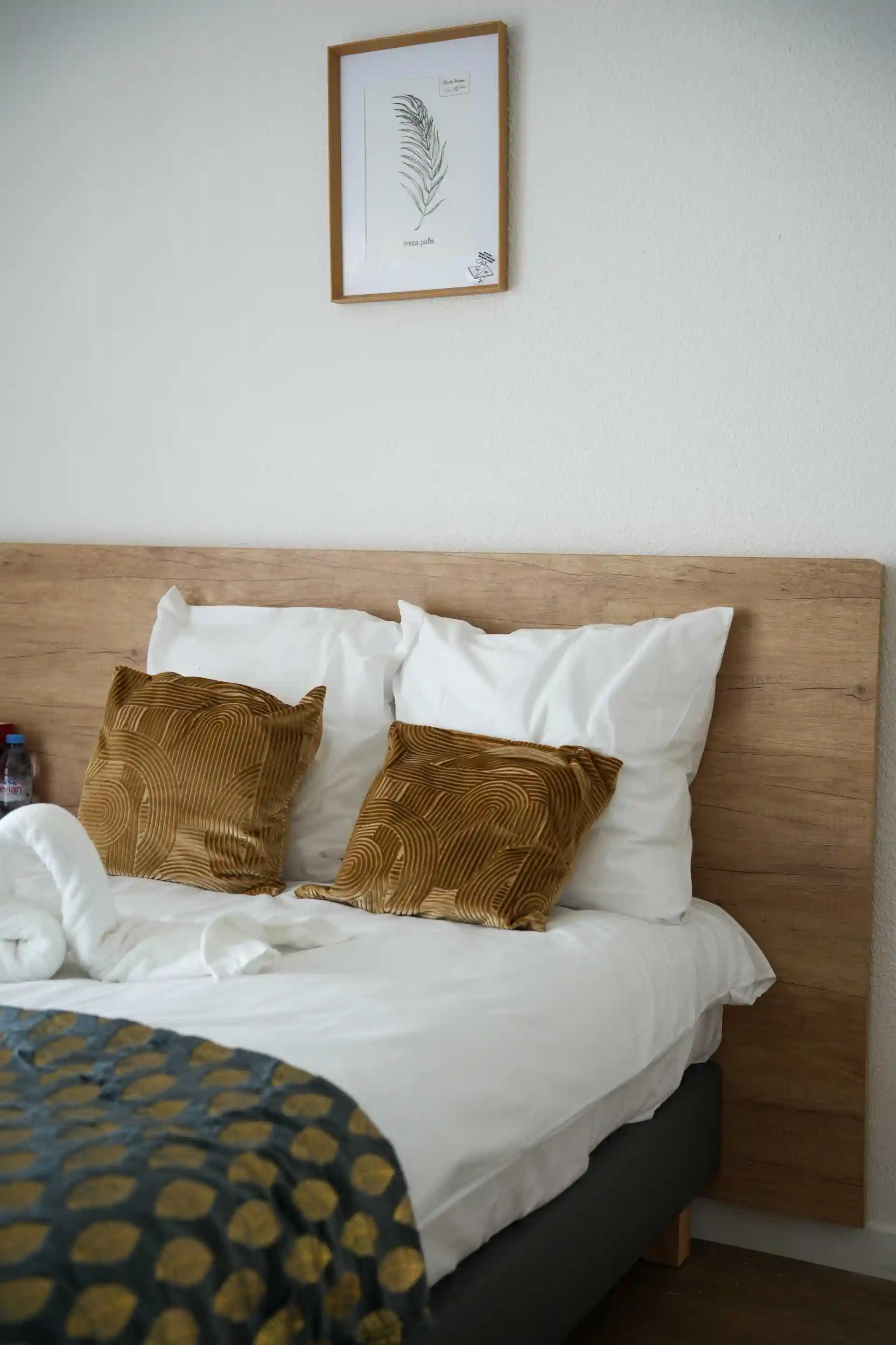 AQUARELIA Saint-Benoît 1