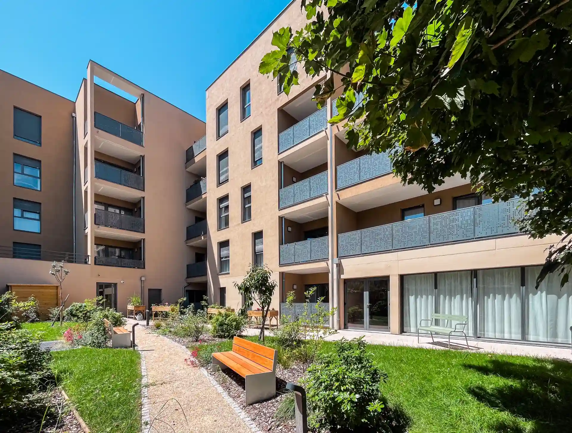 NOHÉE Villefranche-sur-Saône 0