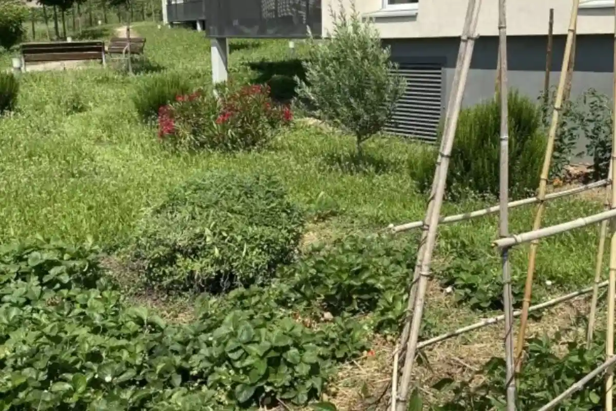 MAISON DE BLANDINE Blacé 2