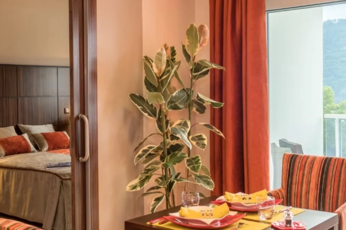 OBEO RESIDENCES Fréjus 5