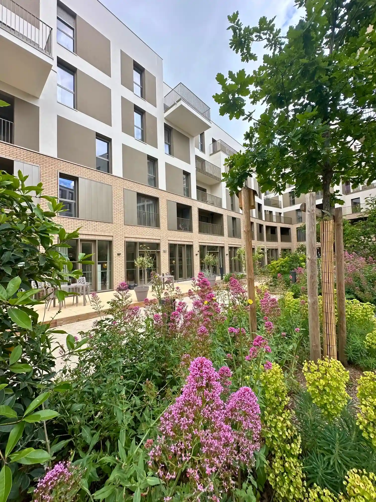 VILLA GINKGOS Les Oliviers 0