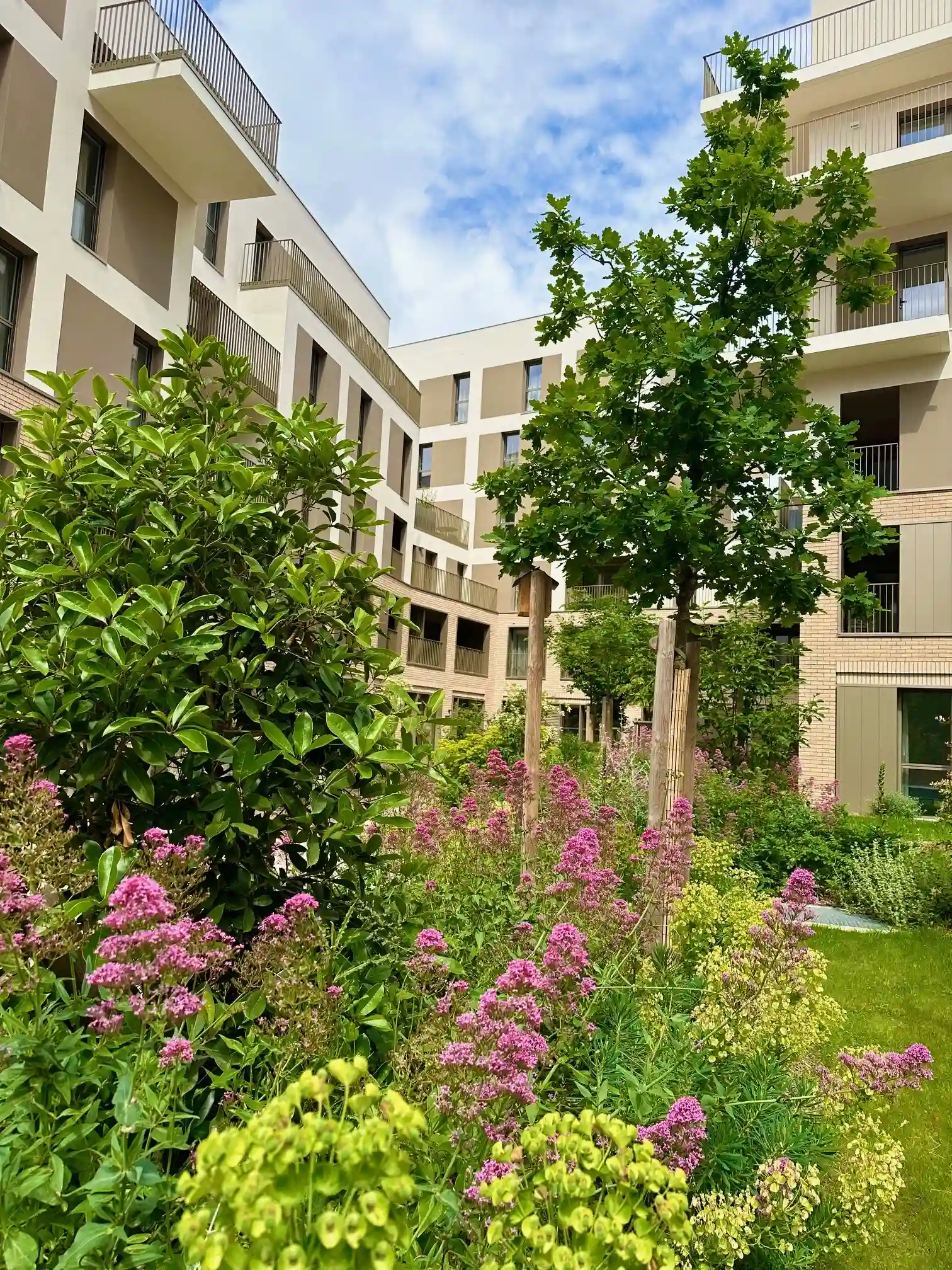 VILLA GINKGOS Les Oliviers 6