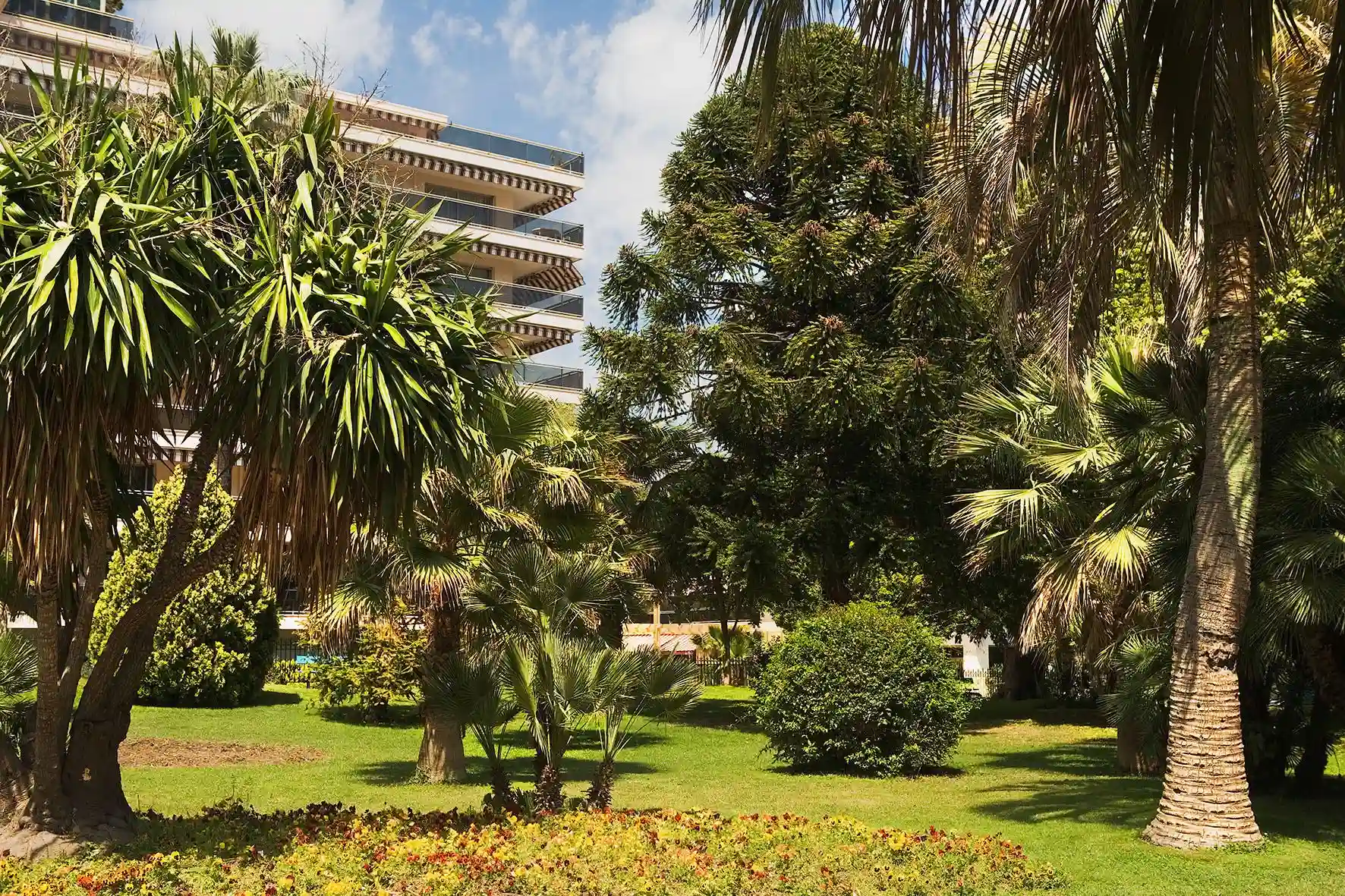 Résidences Les Strelitzias à Juan les pins/Antibes 7